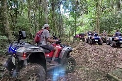 Luxury Jungle Resorts Belize