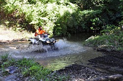 Things To Do In Belize Rainforest