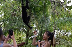 Fort Lauderdale Cruise Port Hotels