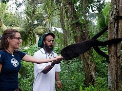 Fort Lauderdale Cruise Port Hotels