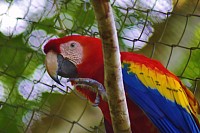 San Pedro Belize Hotels Luxury