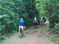 Ladyville Vacation Rentals & Airbnb in Ladyville Belize