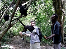 Blue Hole Excursions From Ambergris Caye