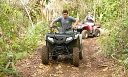 Belize Rainforest Tours Packages